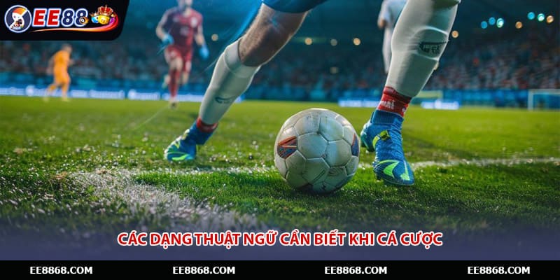 Các dạng thuật ngữ cần biết khi cá cược